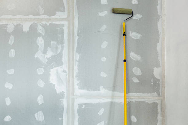 Best Drywall Crack Repair  in Maroa, IL